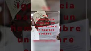 The Yoruba Association of Cuba's 2024 letter has been published, and here's what you need to know!