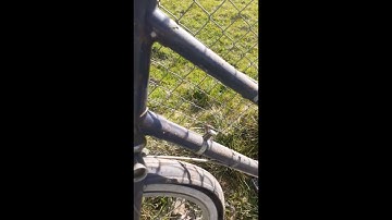 Raleigh Wayfarer Before And After