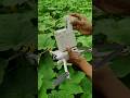 Dji Mini Drone Setup 🎉 #reels #dji #drone #shortvideo #shortsfeed #mini #vlog #ytshorts #viral