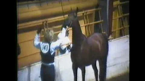 Stringer Farm pt1, Dean Stringer Arabians