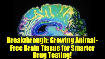 Breakthrough: Growing Animal-Free Brain Tissue for Smarter Drug Testing!