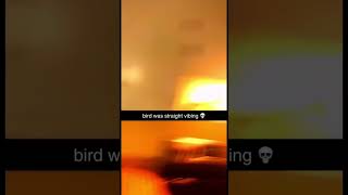 Earn 500 X Youtube At Rumble.com Follow Asmr Sadie On Rumble