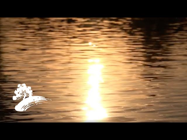 Beegie Adair - The Nearness Of You [Full Album] class=