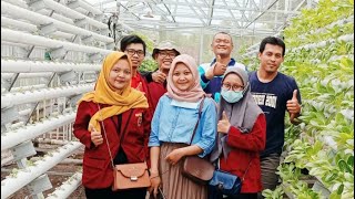 Hidroponik Sambong, Mahasiswa Pbs Semester 7, Bersama M. Santoso, M.kn.