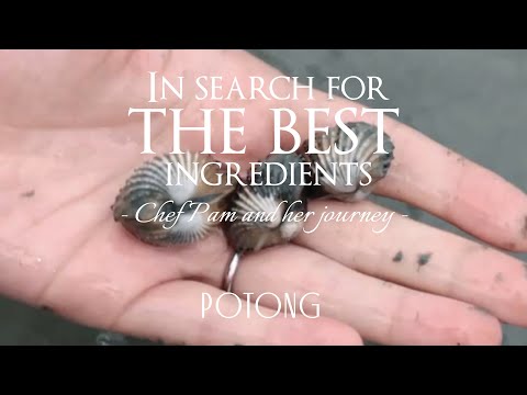 Restaurant POTONG: In search for the best ingredients | Preview To The Sea |