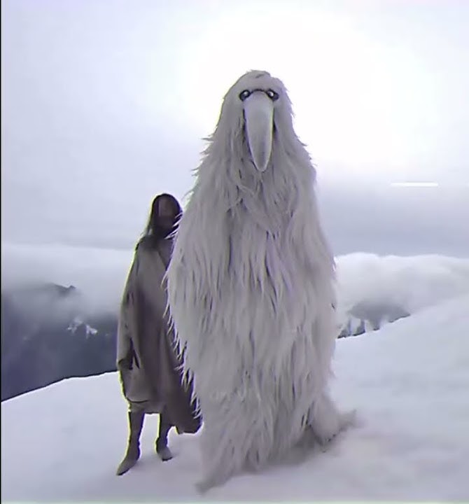 Luh cuh ah fit bro #opium #birds