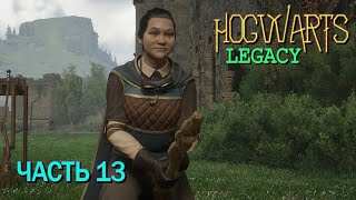 Hogwarts Legacy (Часть 13)