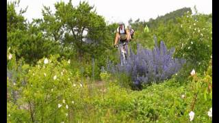 MTB Sweden-magazine: reportage Gotland