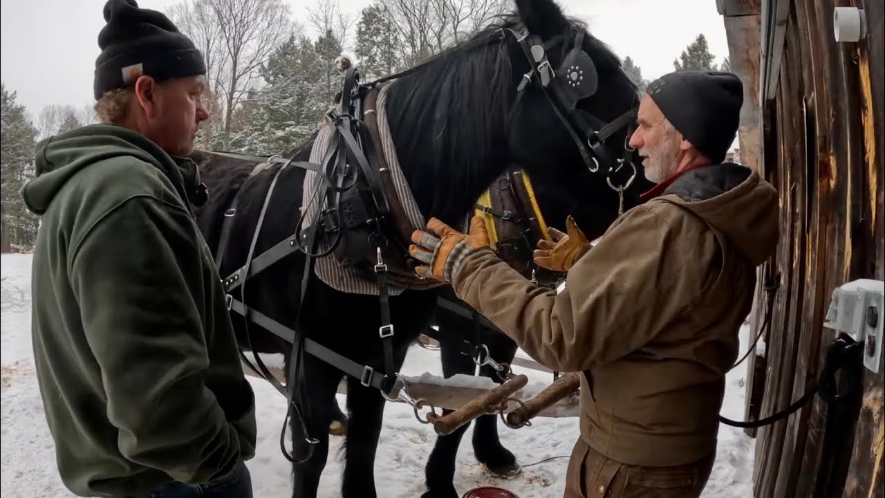 A VISIT WITH A FRIEND!! 