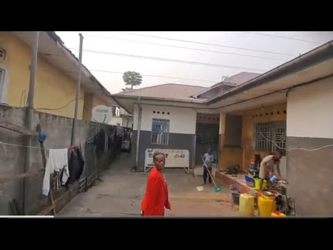 5 8 2025 PARCELLE 20 20m AVEC 3 PORTES LOCATAIRES À PLAZA 60000 À DISCUTER 243901913341