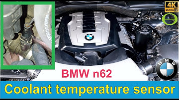 BMW coolant temperature sensor location and demonstration