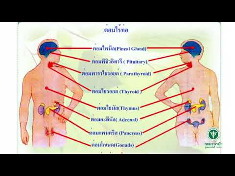 บทที่ 6หมวดที่ 2การส่งเสริมสุขภาพและการดูแลพระสงฆ์ที่ช่วยเหลือตนเองไม่ได้