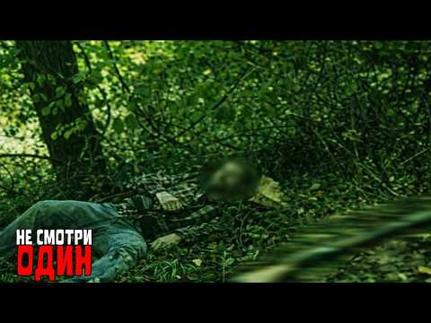 Dangerous Encounters While Hiking
