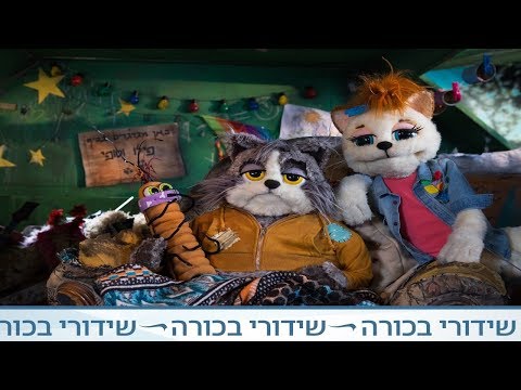 פילו וסופי - מרק קציצות פלאפל