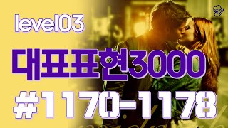 [영어쉐도잉]대표표현3000 #1170-1178