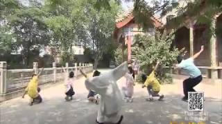 20150818 远方的家  特别节目——暑假去游学（25）华佗五禽戏 亳州拜名师