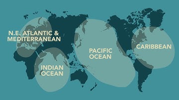 The NEAM Tsunami Early Warning System