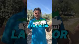 La CALOR de ANDALUCÍA, la RUINA para los que compran AGUA 🥵 #ahorro #andalucia #familia #verano
