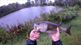 Fishing in Hurricane / Tropical Storm Florence - NC, 9/15/18