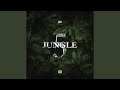 Jungle 5 mp3