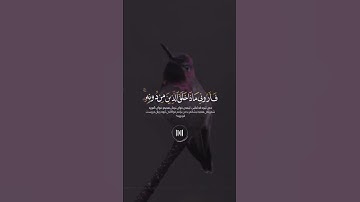 هذا خلق الله #القران #قرآن_كريم  #تلاوة #islam #quran #الكردي #الله #تلاوات #الكردي #قران #كوردستان