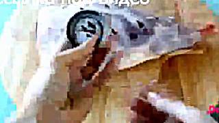 блюда - запеченная баранья нога блюда - запеченная баранья нога