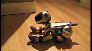 Sony Aibo... Yori sure can move! by Aibo Addicts 3,217 views 15 years ago 1 minute, 1 second