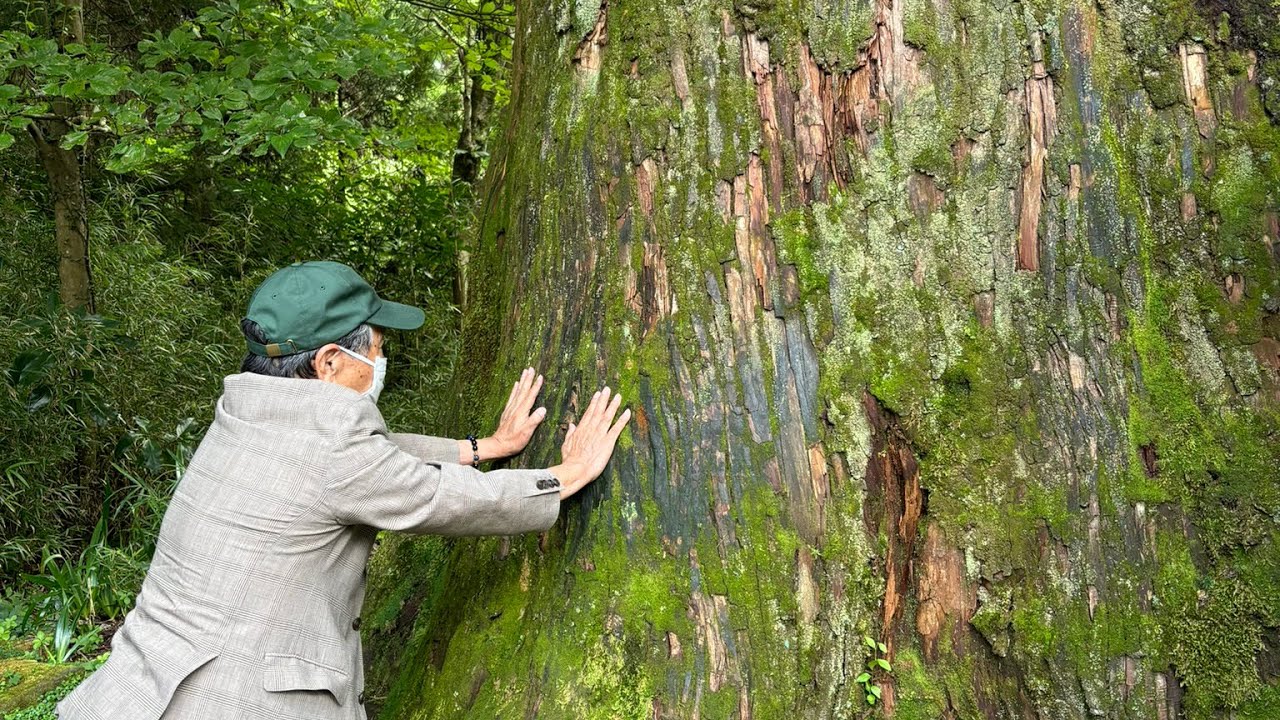 自分の壁を取り払う - YouTube