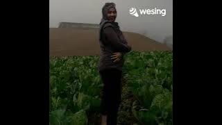 Rindu Ada Disini covered