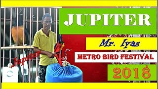 METRO BIRD FESTIVAL 2018..#3: Murai Batu Jupiter... TERBUKTI!!Aksinya Makin Gila
