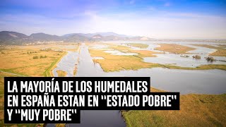 La mayoría de los humedales en España están en “estado pobre” y “muy pobre”