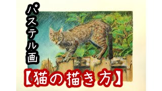 パステル画】猫の描き方 - YouTube