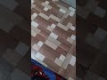 fake jump #shorts #subscribe