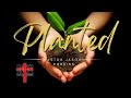 Planted By Pastor Jason Robbins