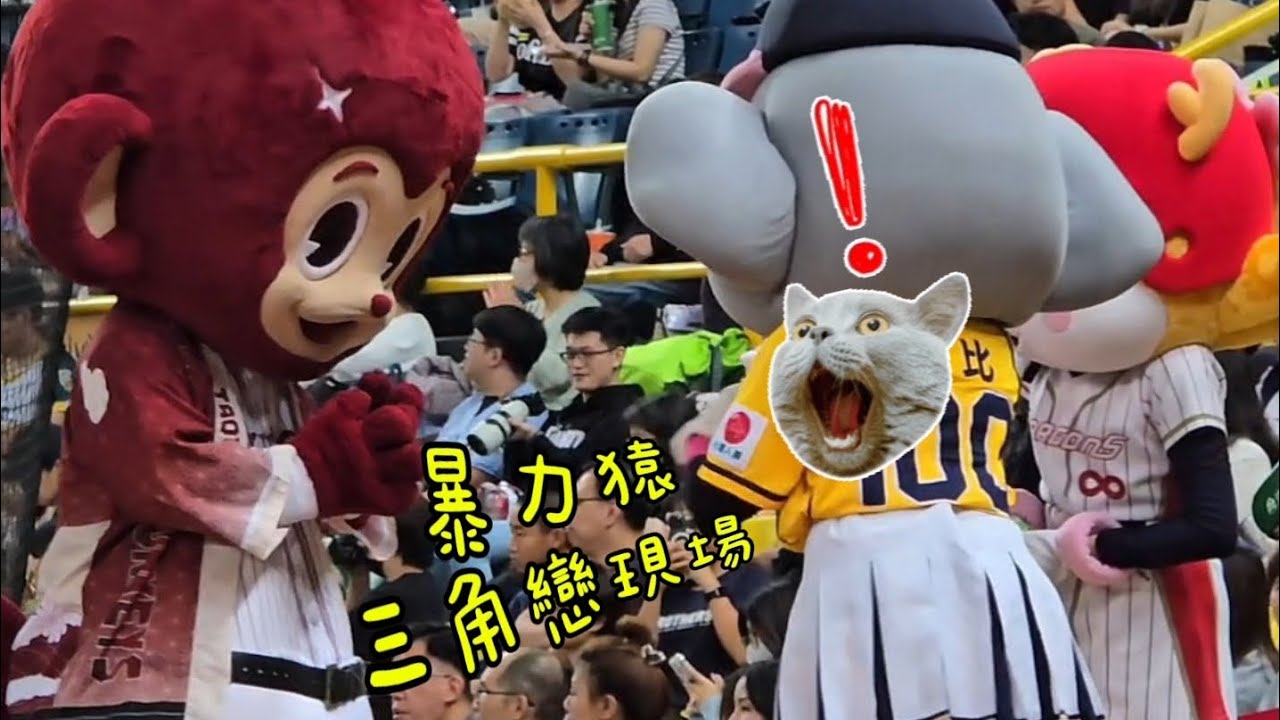 2025.11.22 暴力猿三角戀現場