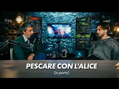 I segreti dell'alicesimo (e quello che ancora non sai)