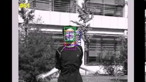 Experiment results of the LSH based tracking algorithm