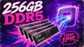 V-COLOR 256GB DDR5 6400MHz CL60 Server/Workstation Memory Review