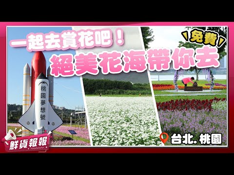 秋季花海登場！ 「延平河濱公園、關渡花海、桃園花彩節」北台灣超好拍花田秘境一次看 | 鮮貨報報 | 壹起FUN