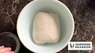 Sourdough Coil Folds