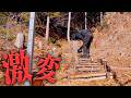 【感動】山の斜面に階段を作ったら… #723