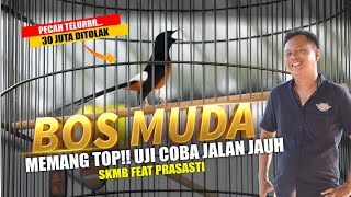 TOP🔥 Murai Batu BOS MUDA Uji Nyali Perjalanan Jauh - SKMB feat PRASASTI