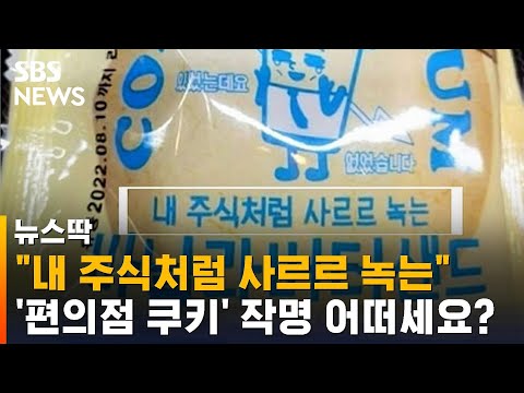 "내 주식처럼 사르르 녹는…" 신제품 작명에 갑론을박 / SBS / 뉴스딱