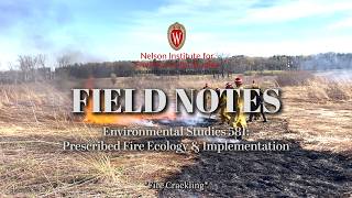 Field Notes: Learning to Burn