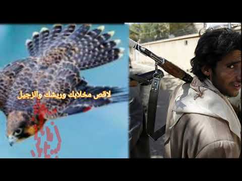 غنية مزاجلة شعرية الامام احمد والقردعي