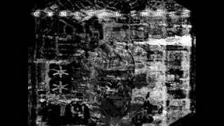 Cynical Mass - Section 9