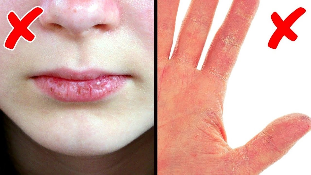 20 Things That Happen to Your Body When You Eat Fast Food pics pictures 20 Things That Happen to Your Body When You Eat Fast Food