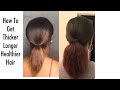 From Thin to Thick | How To Get Thicker, Longer Healthier Hair