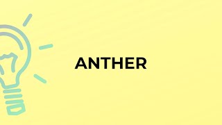What is the meaning of the word ANTHER