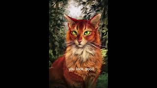 FireStar or Scourge?